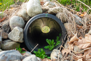 French drain in lawn. D & F Plumbing in Portland OR & Vancouver WA talks about how to drain water from your yard.