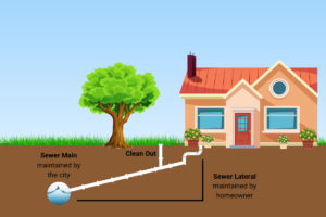 Main line vs drain line infographic explained by D&F Plumbing, Heating and Cooling in Vancouver WA and Portland OR.