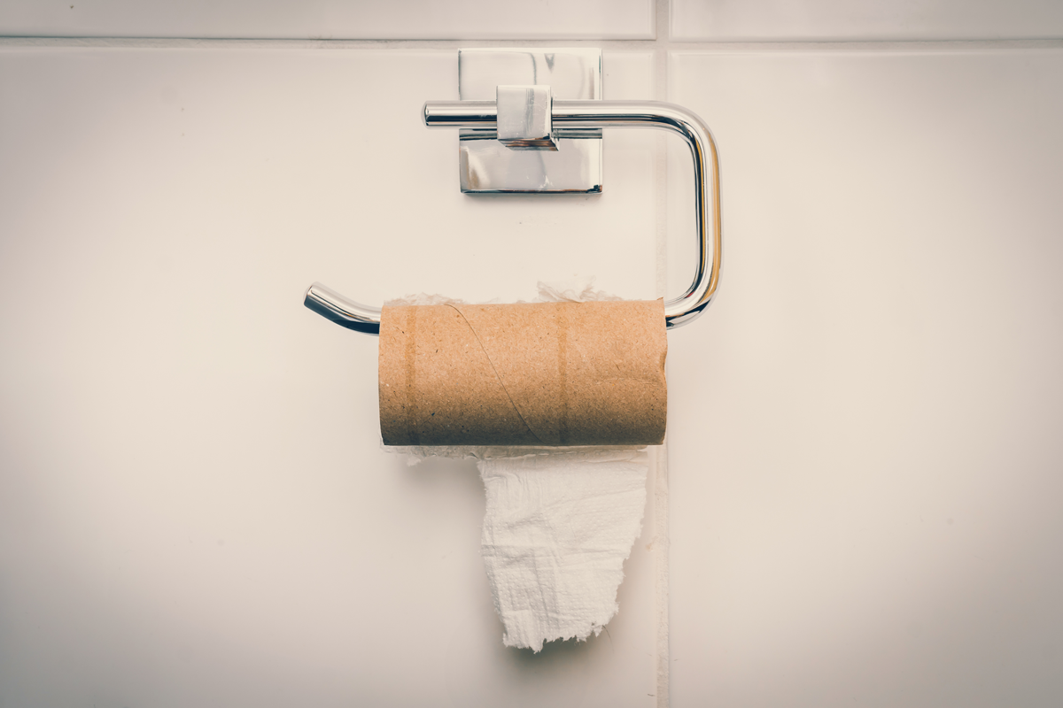 Toilet paper roll - D&F Plumbing, Heating and Cooling in Vancouver WA and Portland OR