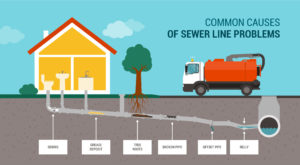 Diagram showing the common causes of sewer line clogs - D&F Plumbing, Heating and Cooling serving Portland OR & Vancouver WA