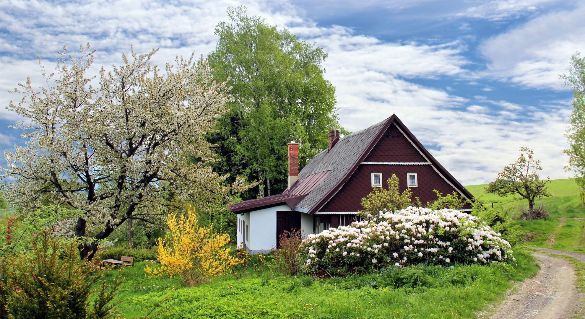 Common Plumbing Issues in Accessory Dwelling Units in Portland and Vancouver header