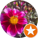 H.C. Reviews-Community Member profile picture