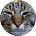 Drain Cleaning Services | D&F Plumbing, Heating and Cooling Cat Williams (Cat) profile picture